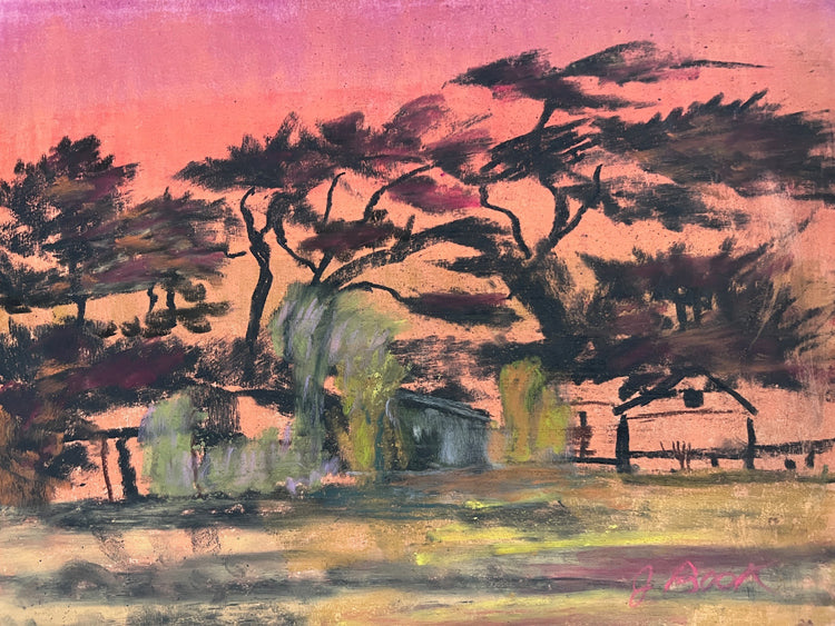 "Cambria Cypress Trees at Sunset"