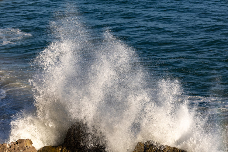 "Summer Spray"