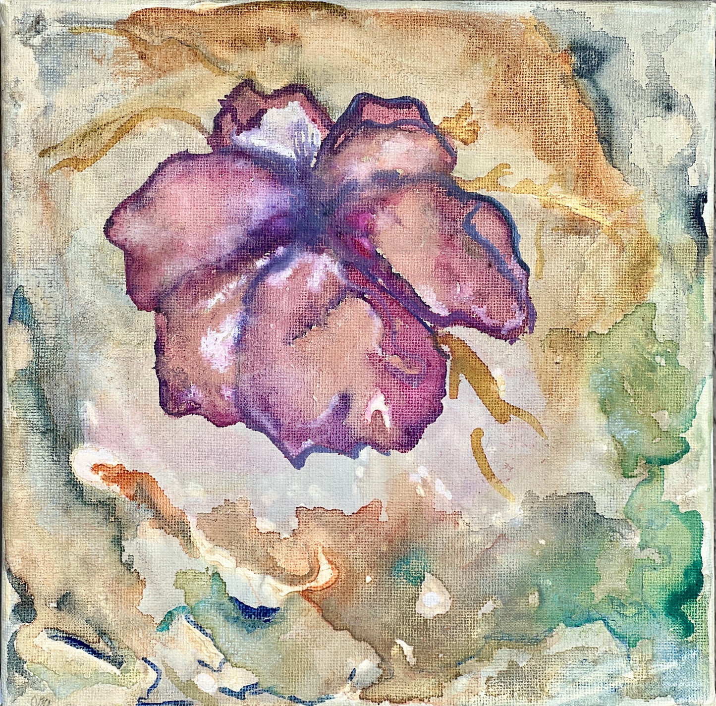 Hibiscus