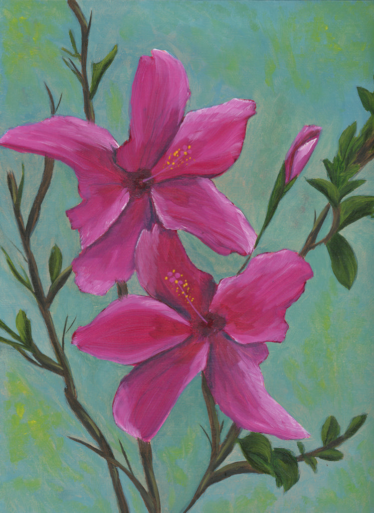 "Hibiscus"
