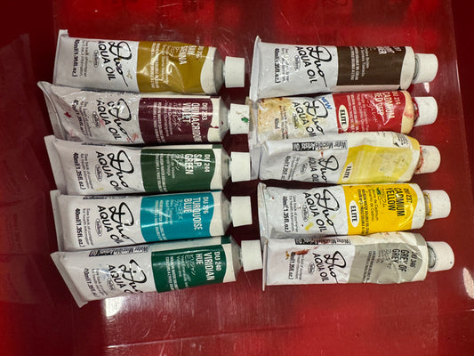 PRO STARTER BUNDLE: Holbein Duo Aqua Water-Soluble Oils (10 Tubes)