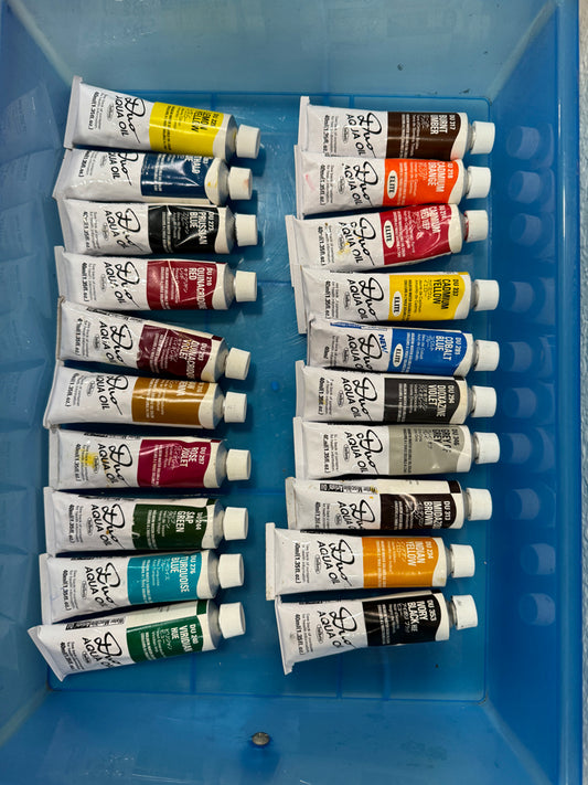 PROFESSIONAL BUNDLE: Holbein Duo Aqua Water-Soluble Oils (20 Tubes)