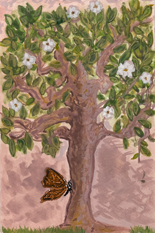 Magnolia deLa Lucia