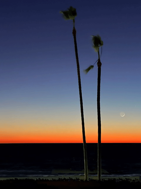 "Magic Hour  Moon"