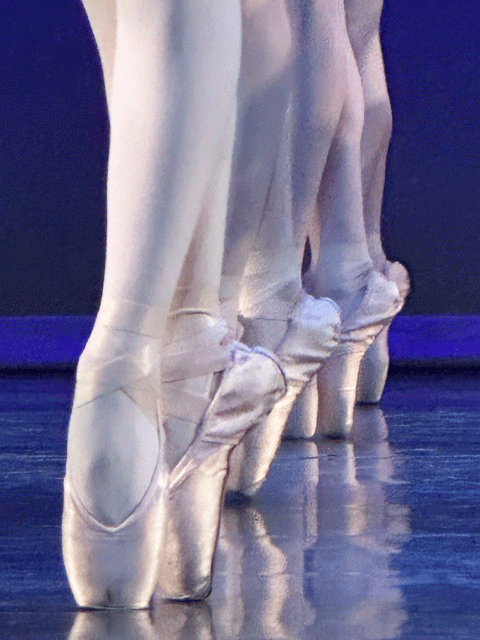 "Reflections en Pointe"