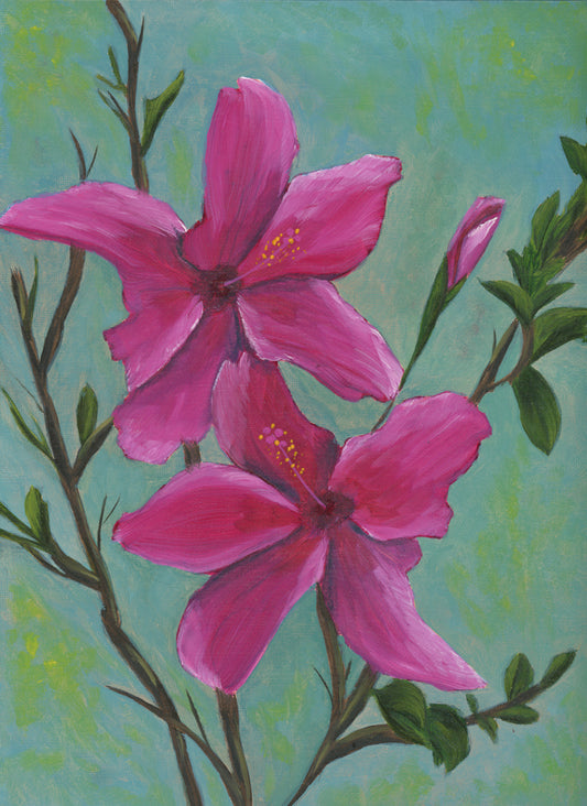 "Hibiscus"