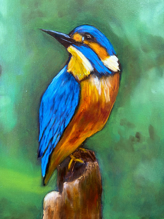 "Kingfisher"