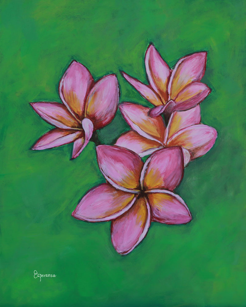 "Pink Plumeria" fine art print