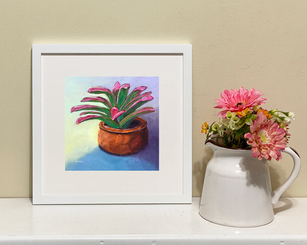 "Pink Tip Bromeliad" giclee print