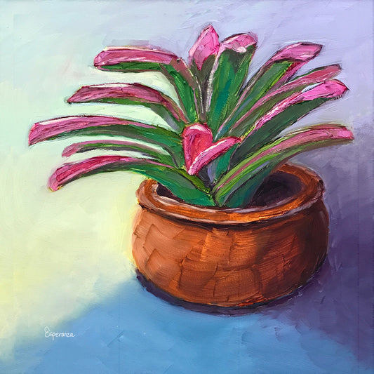 "Pink Tip Bromeliad" giclee print